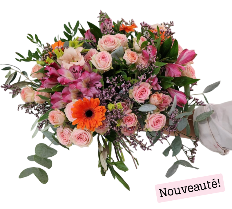 Le Poudré