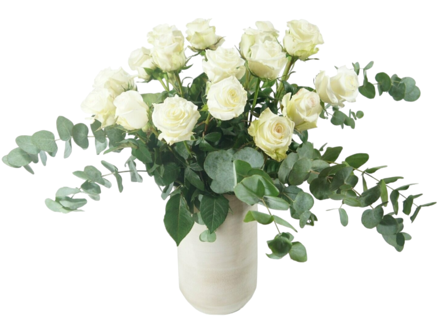 Roses Blanches 60 cm