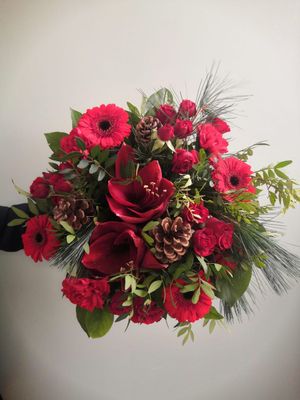 Le Noël Echanté Le Noël Echanté