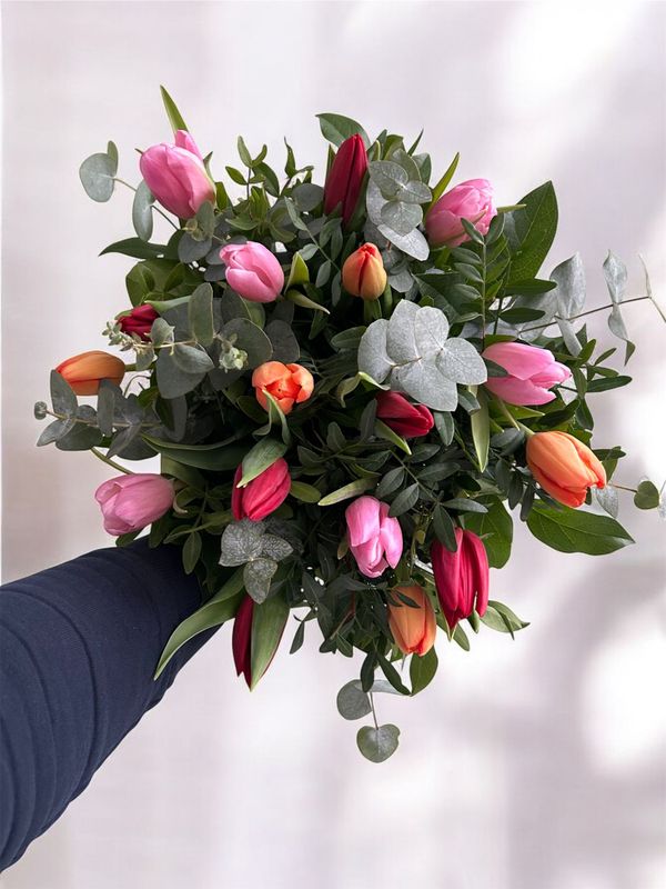 LES TULIPES DE SAISON
