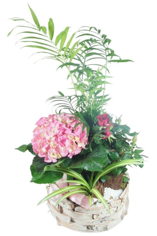 La Fantaisie de Mamie