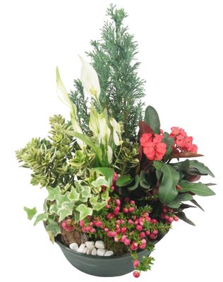 Coupe de plante - Condoléances