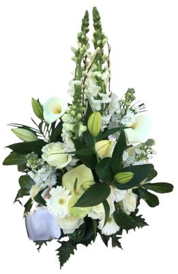 Coupe conique - Paisible Coupe conique - Paisible