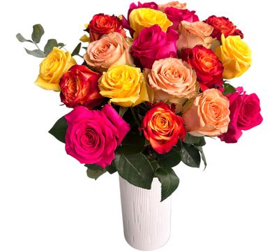 Roses 50 cm couleurs vives