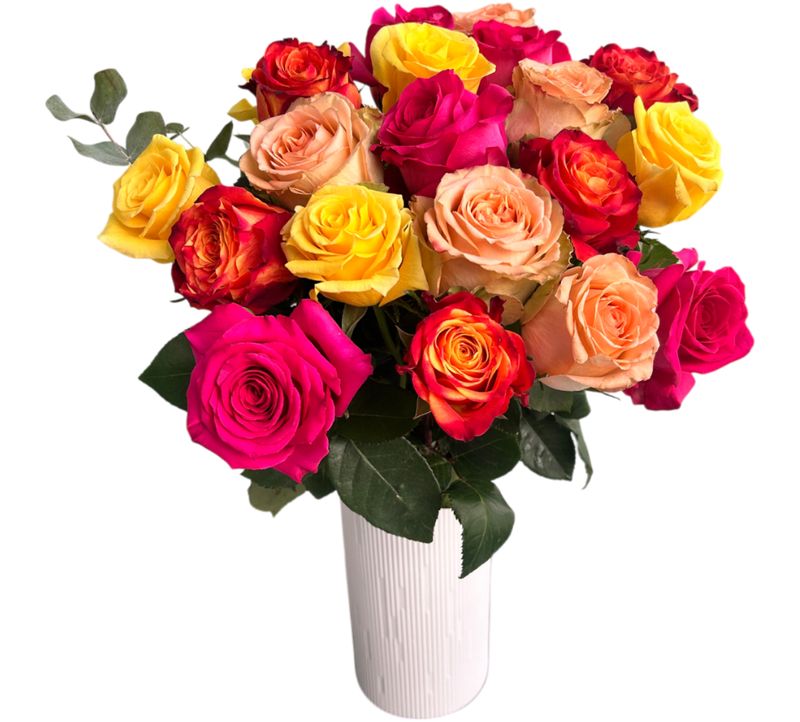 Roses 50 cm couleurs vives