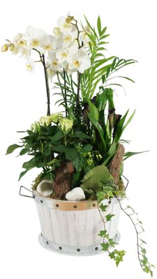 Le Jade Blanc Le Jade Blanc