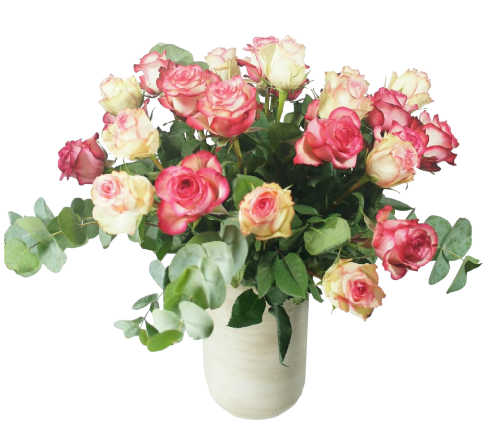 Roses 50 cm couleurs pastels