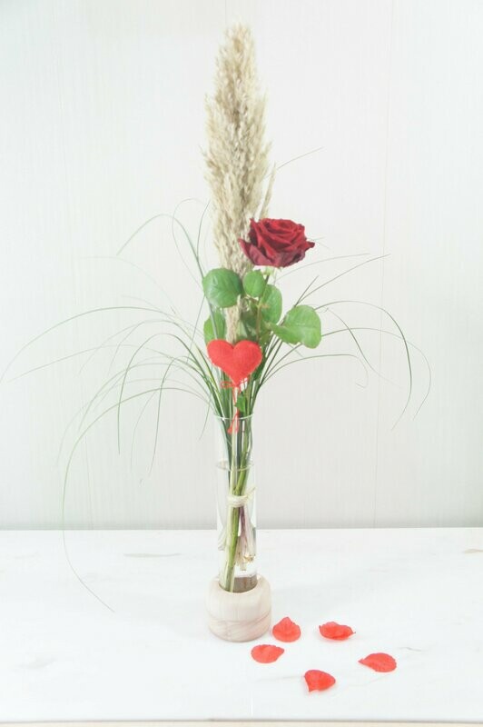 La Rose Pampa