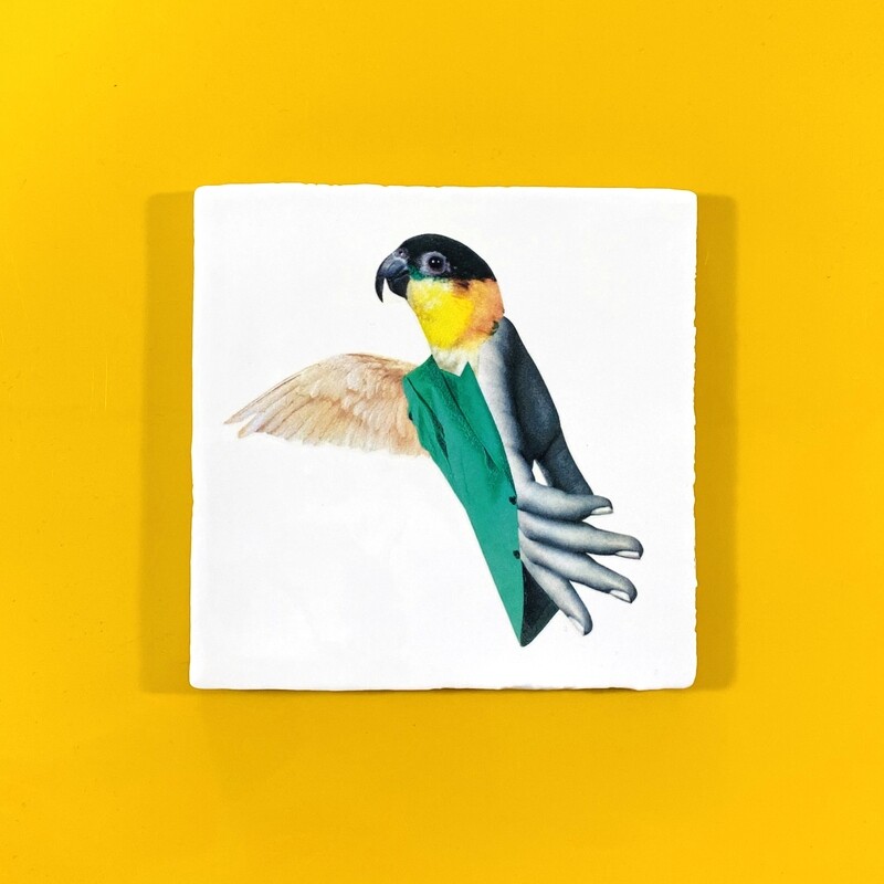 Bird | tegel