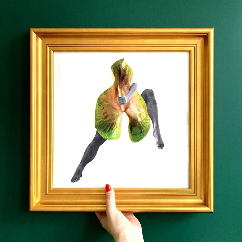 Flora erectica | original handmade collage