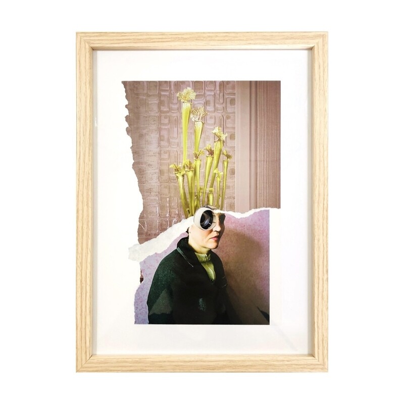 Sarracenia | original handmade collage
