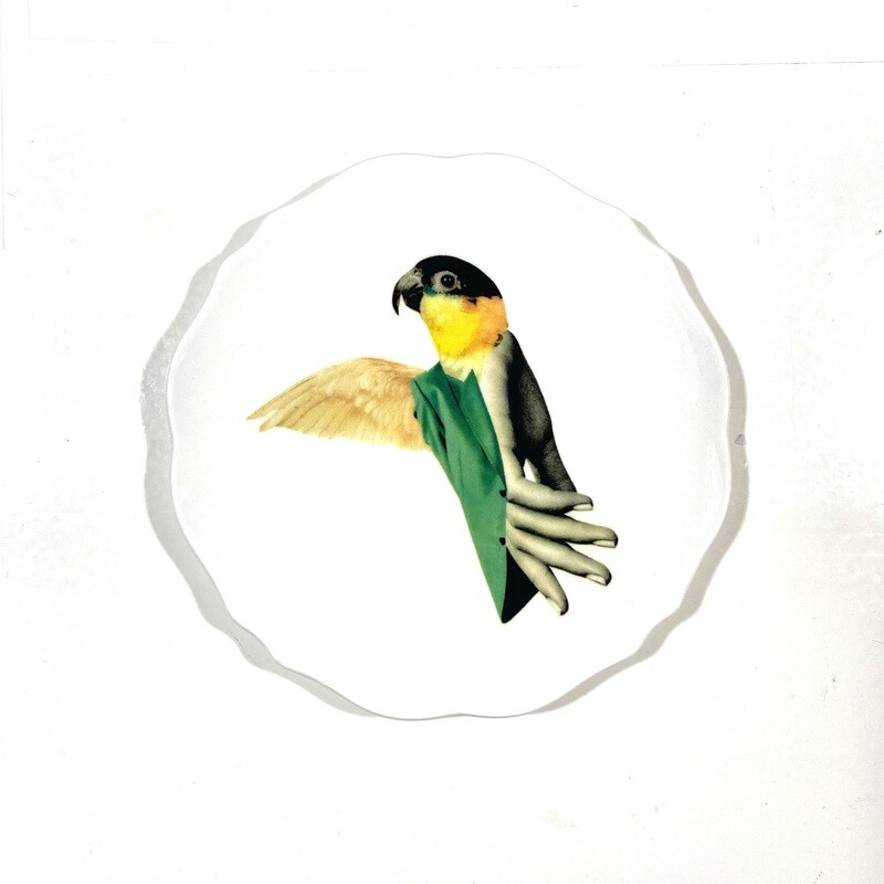 Bird | wandbord