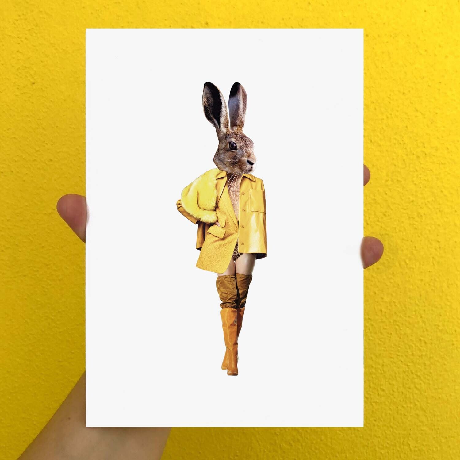 Haas | print | A5