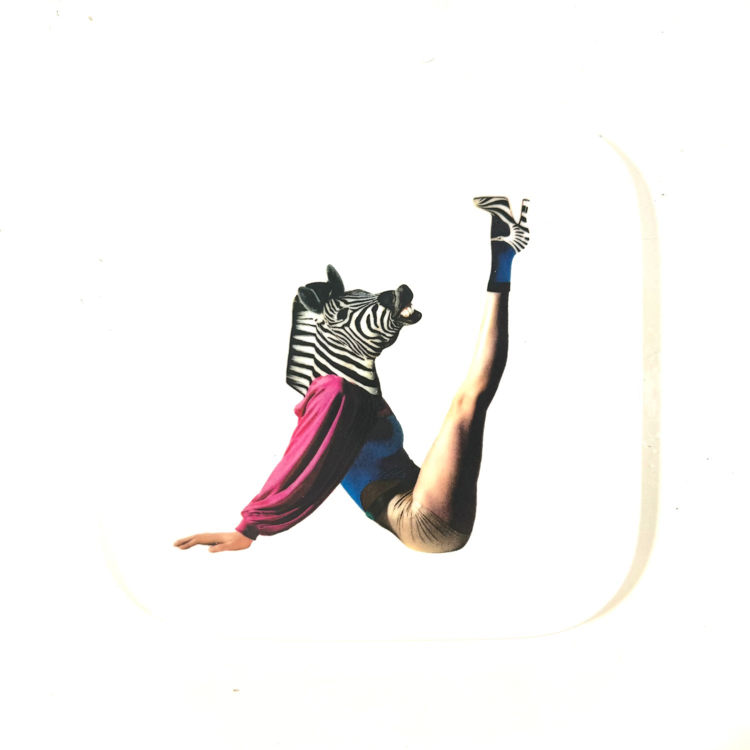 Zebra | wandbord