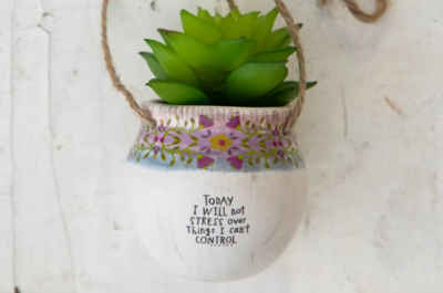 Hanging Succulent - today I will not stress