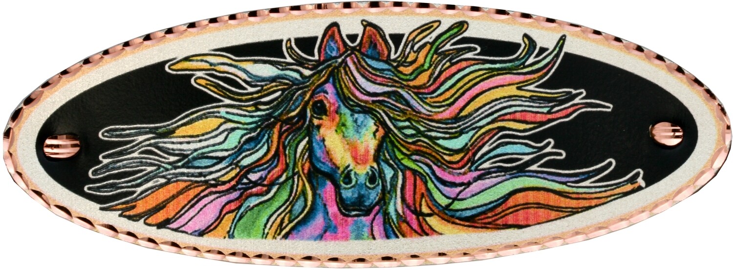 RAINBOW HORSE HAIR CLIP BY LYNN-BEAN HY-05
