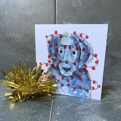 Christmas cards - Festive Tangle