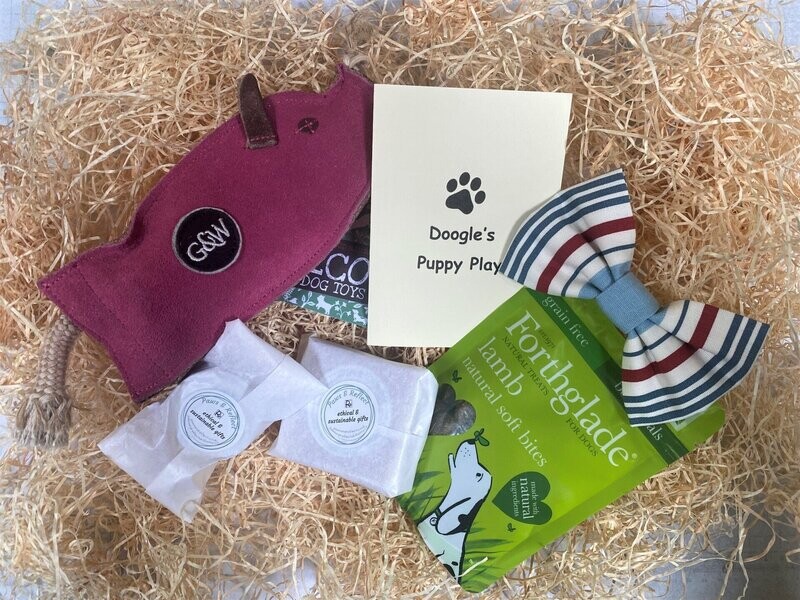 Gift box - puppy