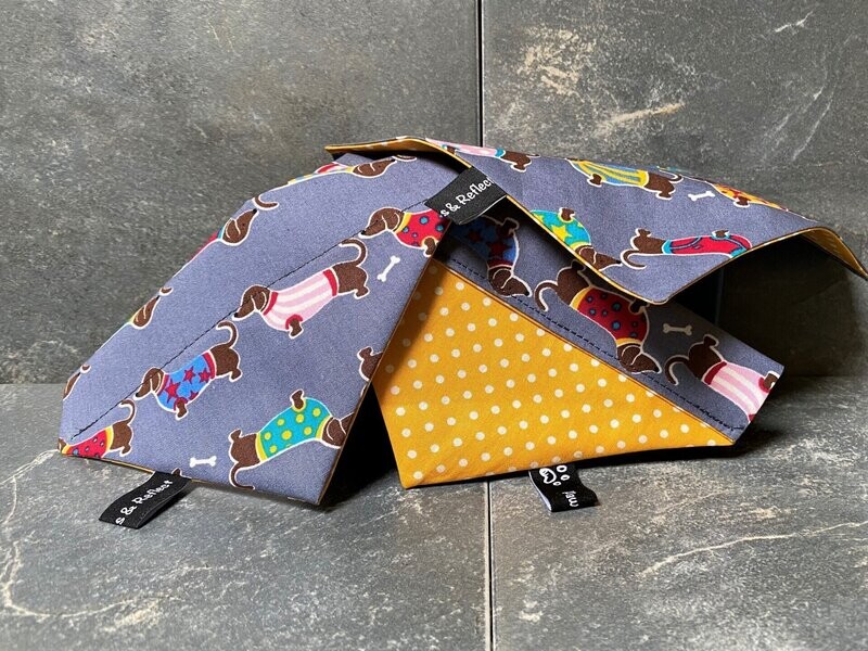 Bandana - over the collar- Dachshund