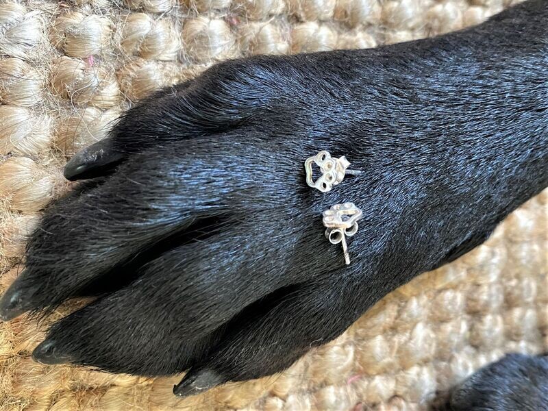 Paw print - Sterling Silver earrings