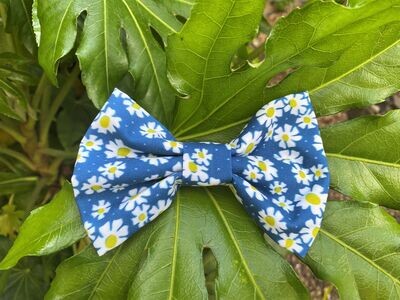 Bow tie - Daisy blue