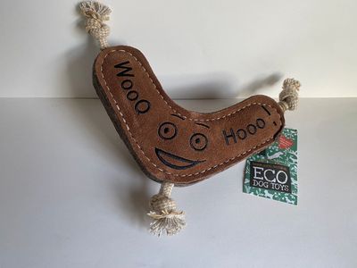 Dog Toy - Benny the Boomerang