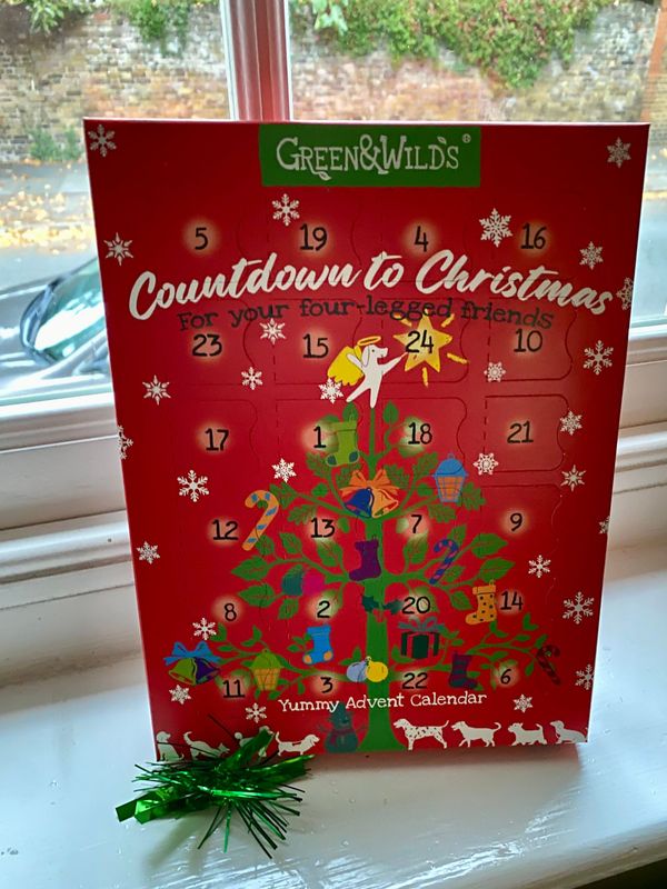 Christmas - Advent Calendar for Dogs