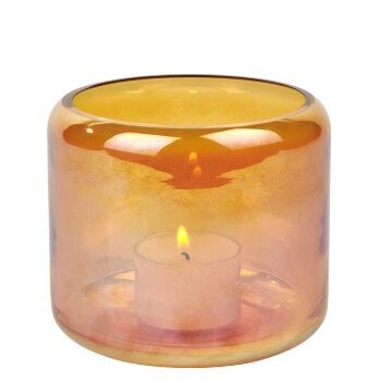 Oudon Tealight gross/ Strelitzie