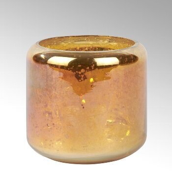 Oudare tealight gross/ Strelitzie