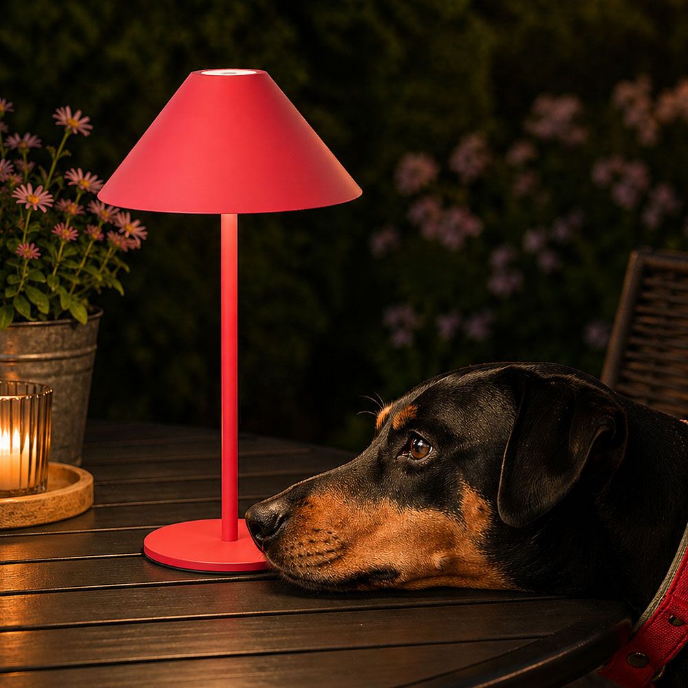 CARPI LED-Tischlampe mit Akku