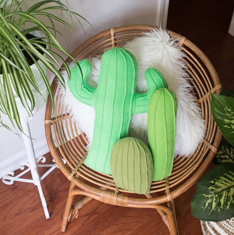 Cactus family pillows