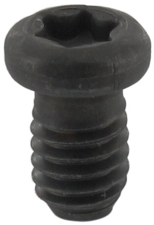 Rundkopfschraube mit TORX®-Innengewinde D M4 SW T15 DK 5mm L 6mm         (ENT)