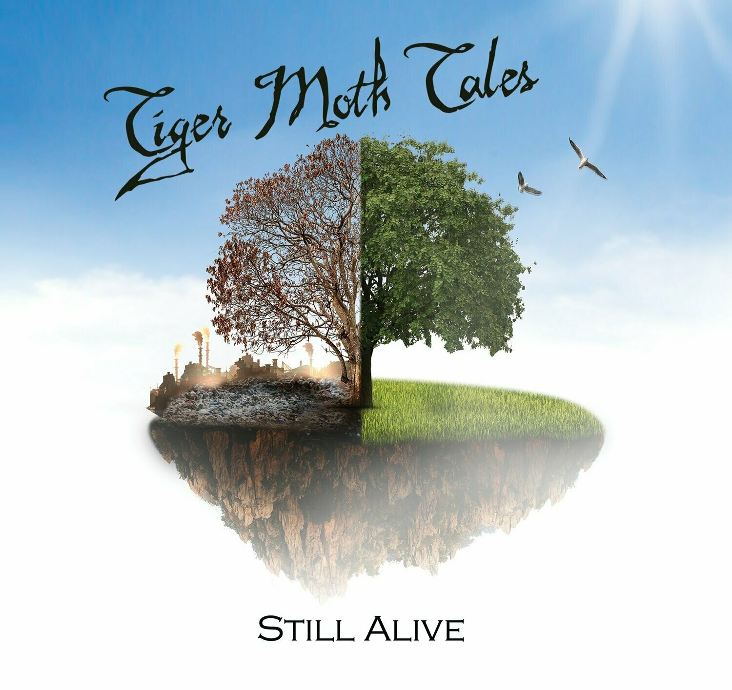 Tiger Moth Tales The Whispering Of The World Cd And Dvd The Quiet Room Session Still Alive Cd Dvd