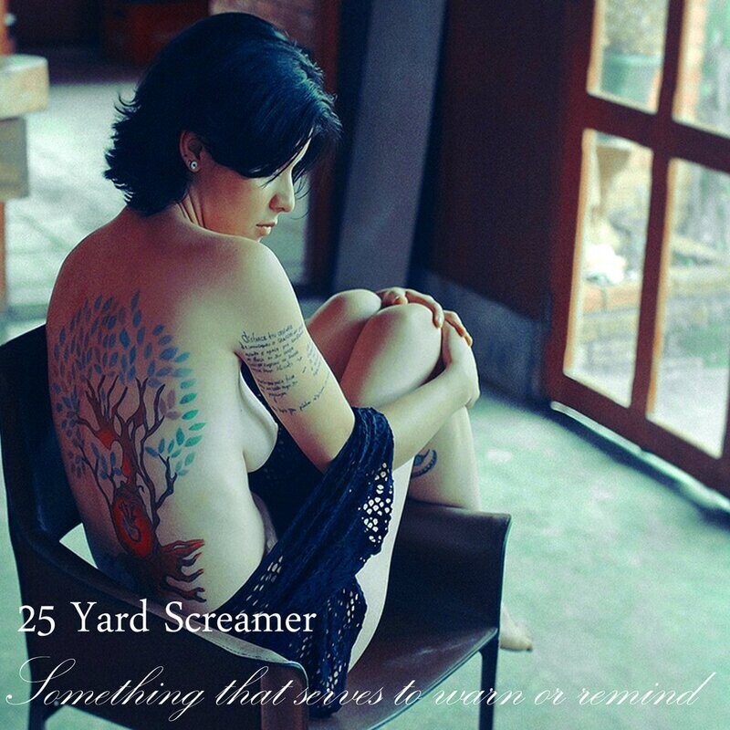 25 Yard Screamer : Something That Serves To Warn Or Remind CD (2013)