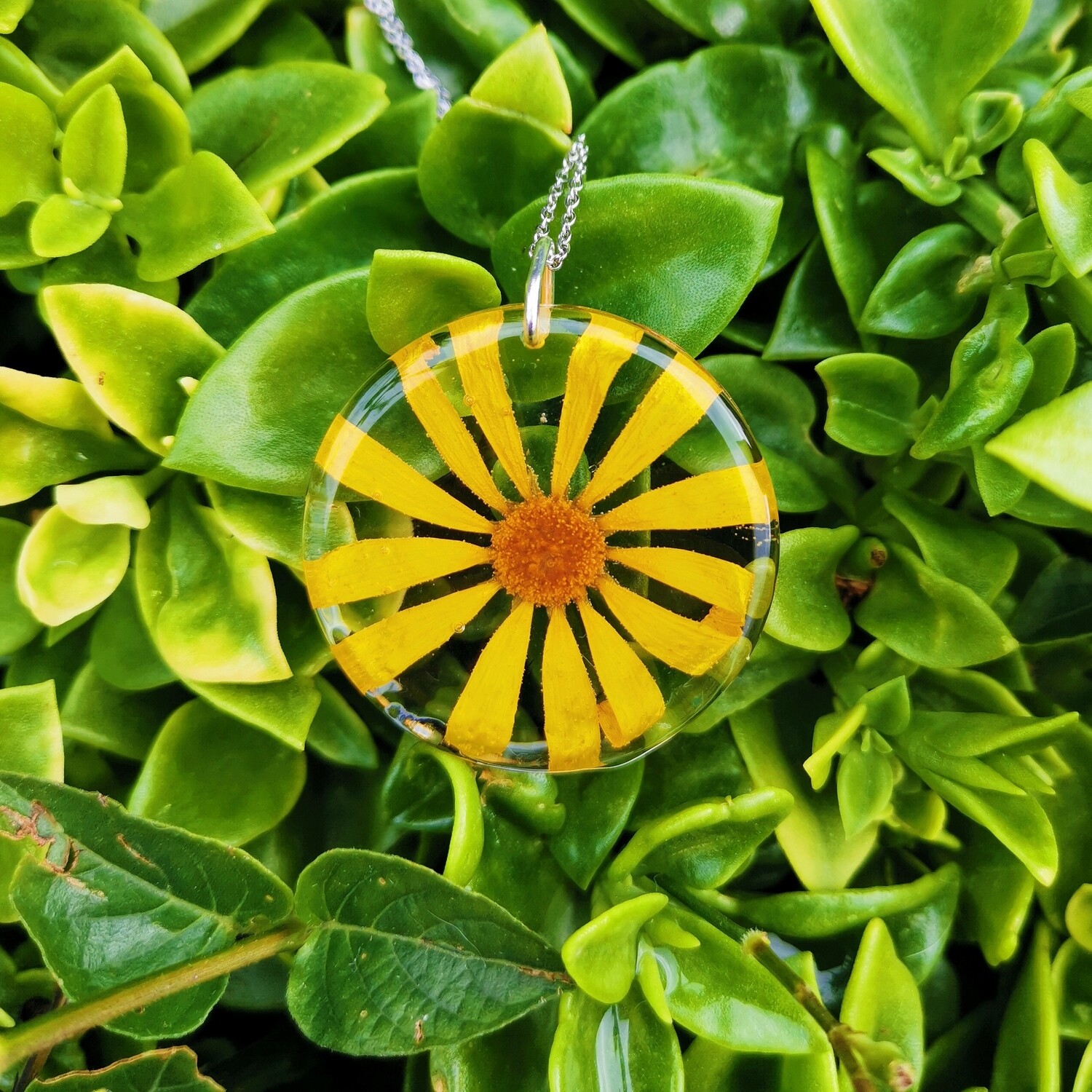 Fynbos Daisy Necklace