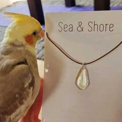 Pet Jewellery (Bird Feather)