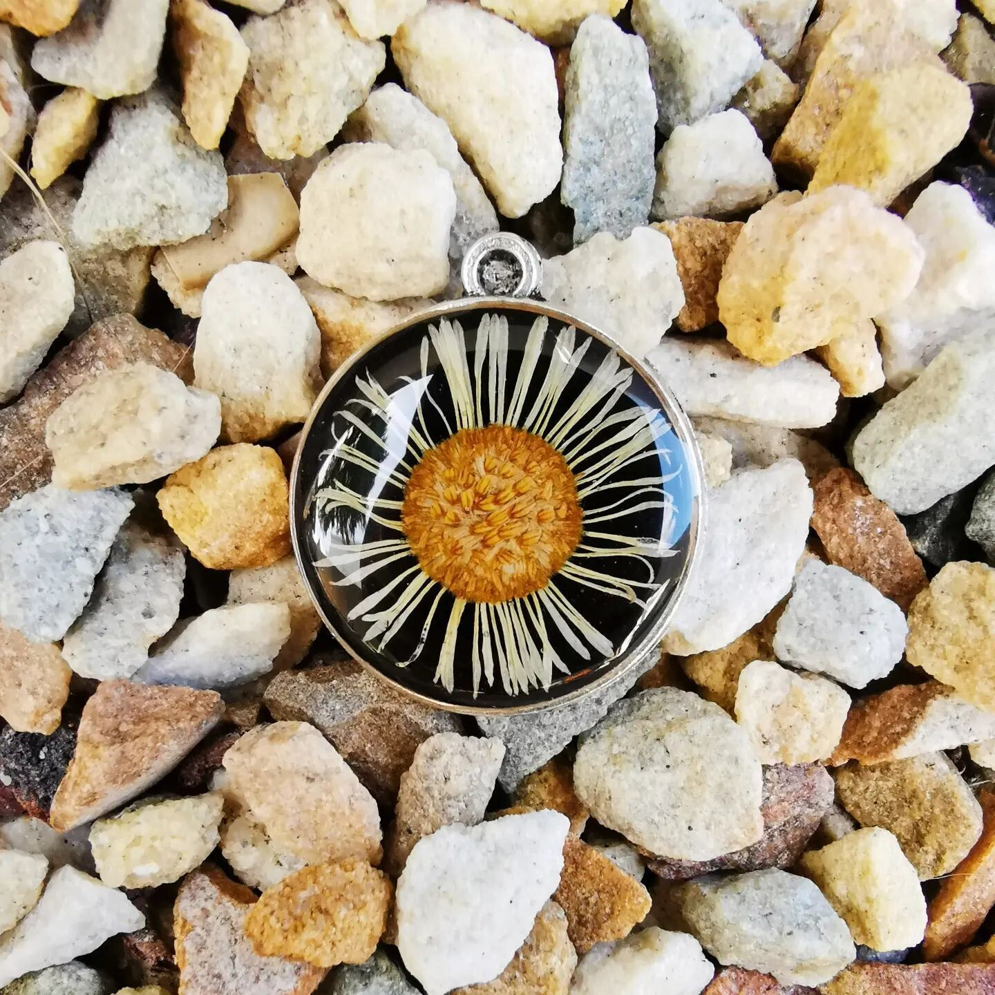 Mexican Daisy Necklace