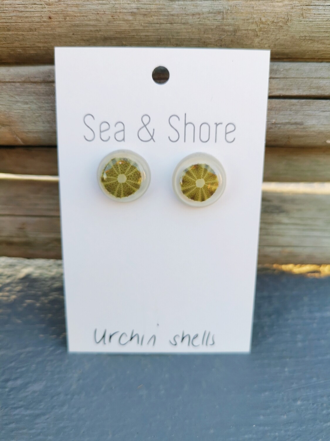 Miniature Sea Urchin Studs