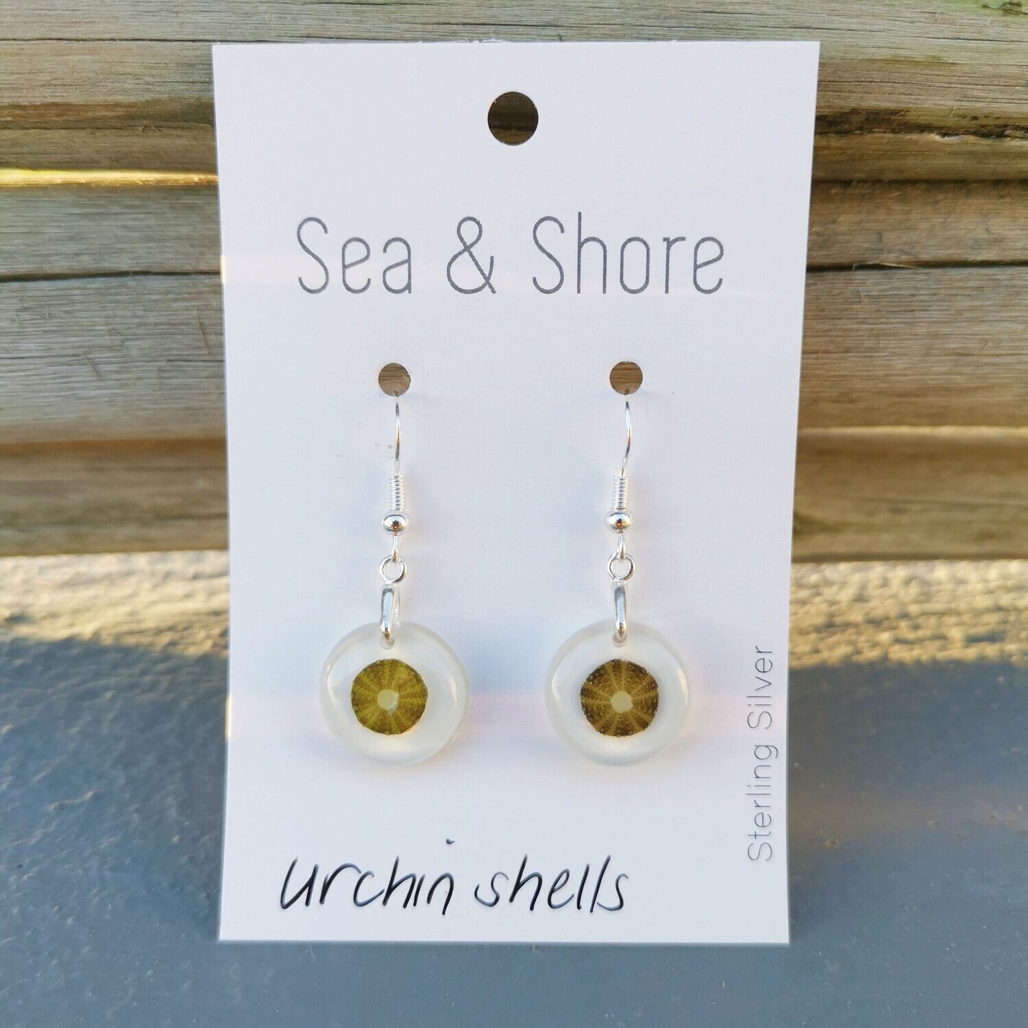 Miniature Sea Urchin Earrings