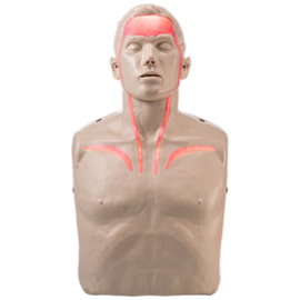 Training Mannequins