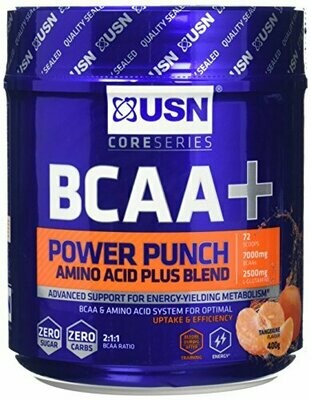 USN BCAA Power Punch 400gr