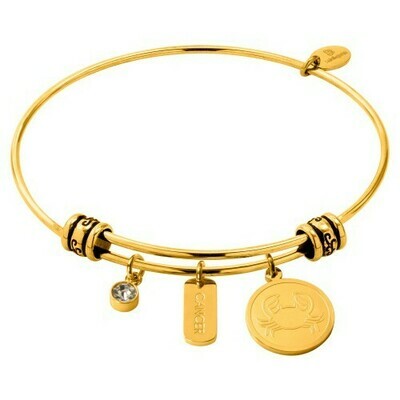 Natalie Gersa Steel Bracelet With Zodiac Cancer