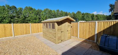 Apex Shed Single Door & Windows