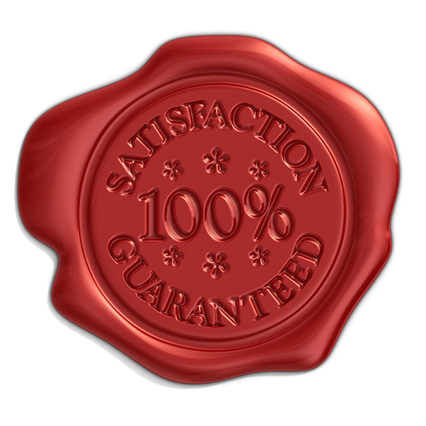 Cera de Candelilla 100 gr