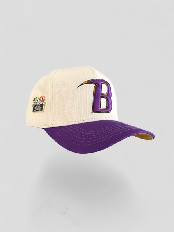 B- PURPLE/ GOLD