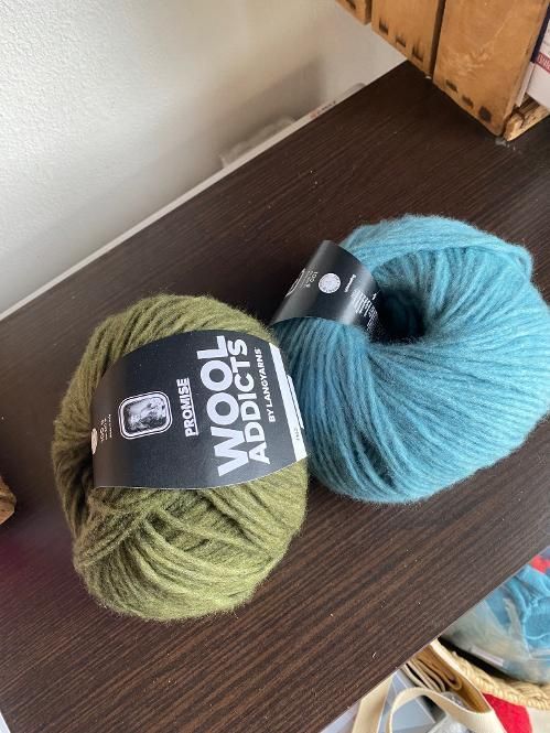 PROMISE de Wooladdicts 100 g / 260 m