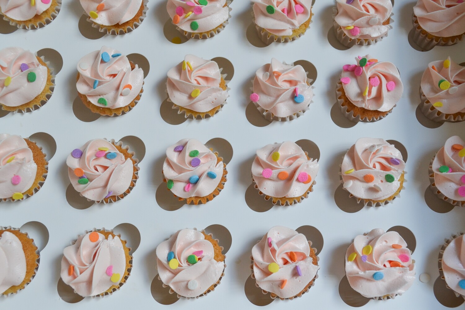 24 Mini cupcakes box