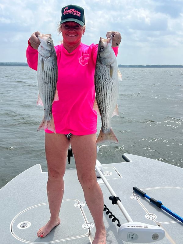 Hot Pink Classic Fishing Shirt