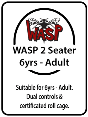 WASP 2 Seater