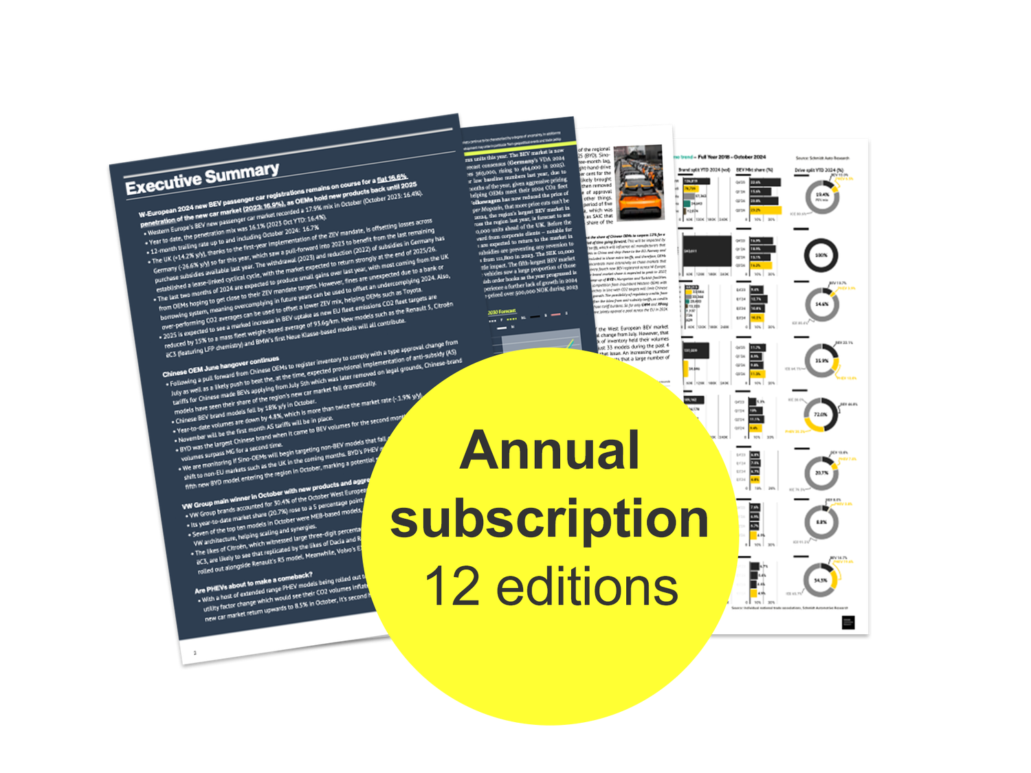 Annual Subscription (12 editions) — European Electric Car Study — The first edition will be downloadable at the time of purchase, and following eleven will be sent via email on the day of publication.